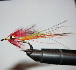 Pot Belly Pig Reinbow Cascade  Kumho � 4